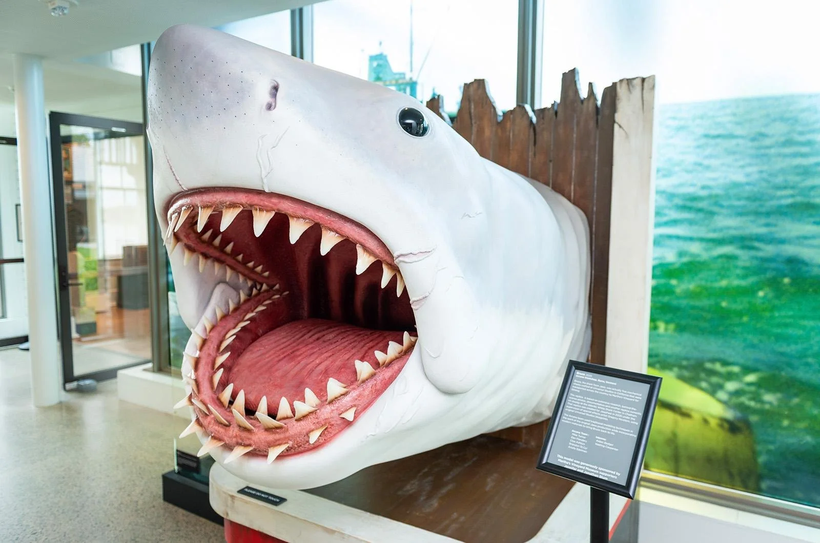 Martha’s Vineyard Museum receives Excellence Award for JAWS exhibit