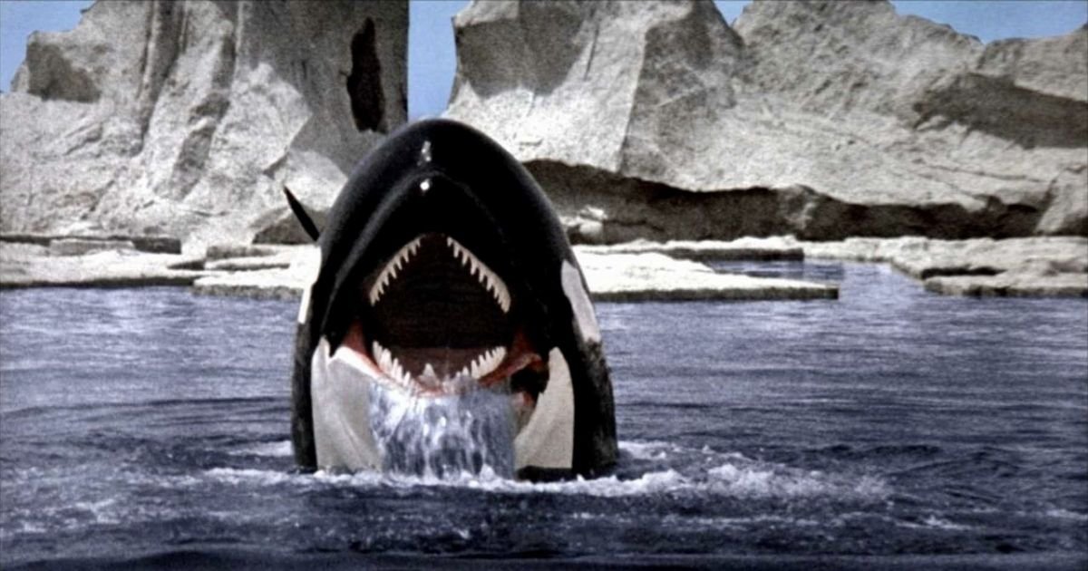 Why ORCA Is The Best JAWS Rip-Off Ever Made 