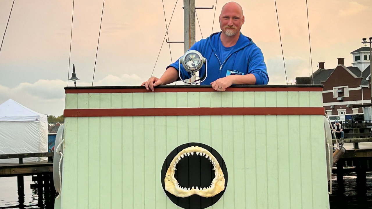 Living Sharks Museum delivers epic JAWS 50th anniversary exhibition