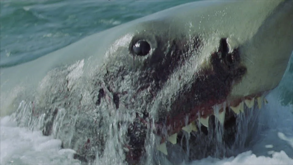 Podcasting JAWS the Right Way: Fair Use  Myths, Movie Clips, and Music Licensing  Basics