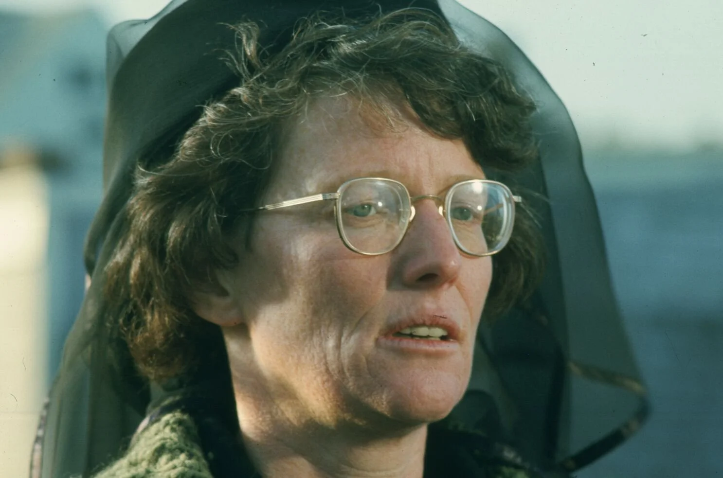 Mrs. Kintner: An older mother and the quiet tragedy of JAWS