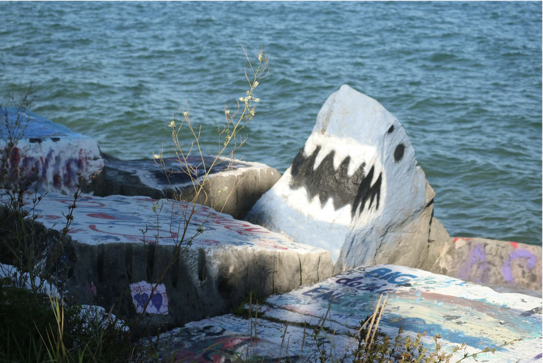 Fin-phobia: How "JAWS" made us all scared of sharks