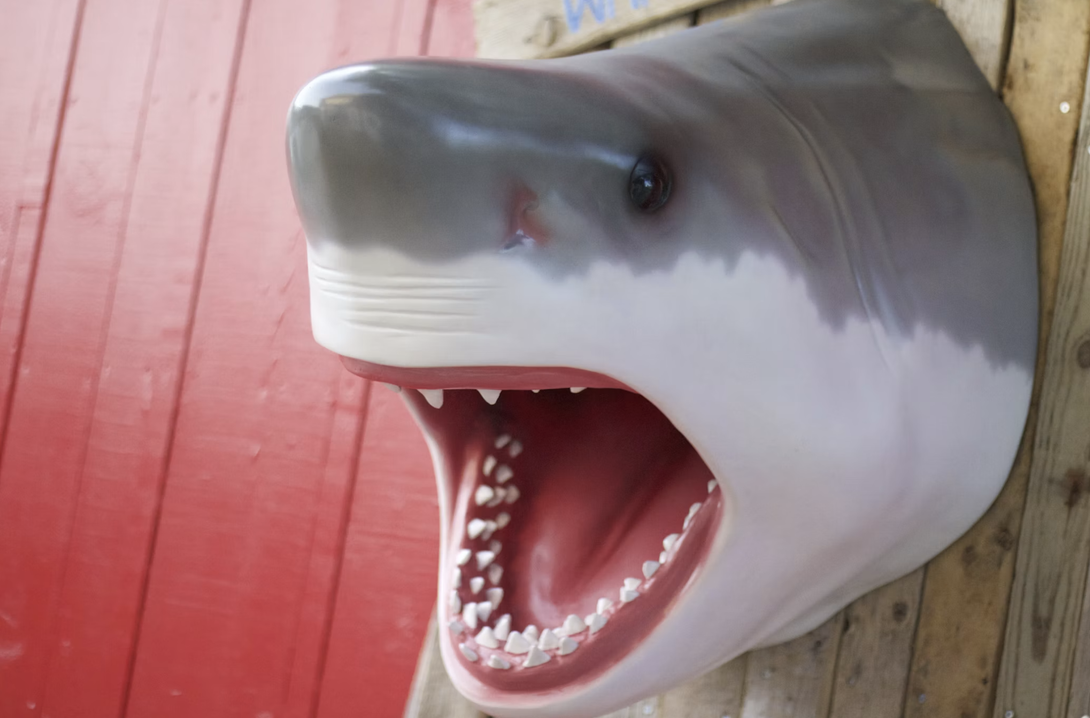 Why Jaws Still Defines the Modern Summer Blockbuster 50 Years Later