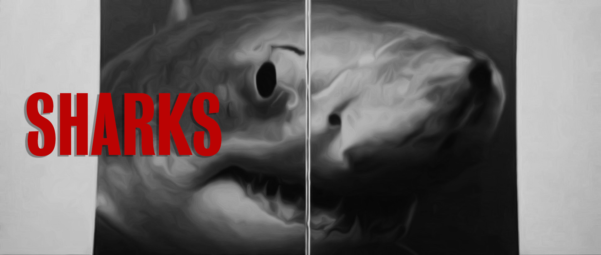 NEW WEBSITE GIVES THE DAILY JAWS EVEN BIGGER BITE RADIUS — The Daily Jaws
