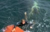 The Jaws Timeline: A definitive guide to the chronology of Steven ...