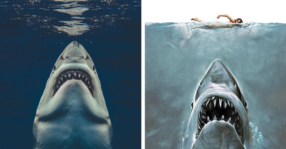 Whale shark photo recreates classic Jaws poster pose — The Daily Jaws