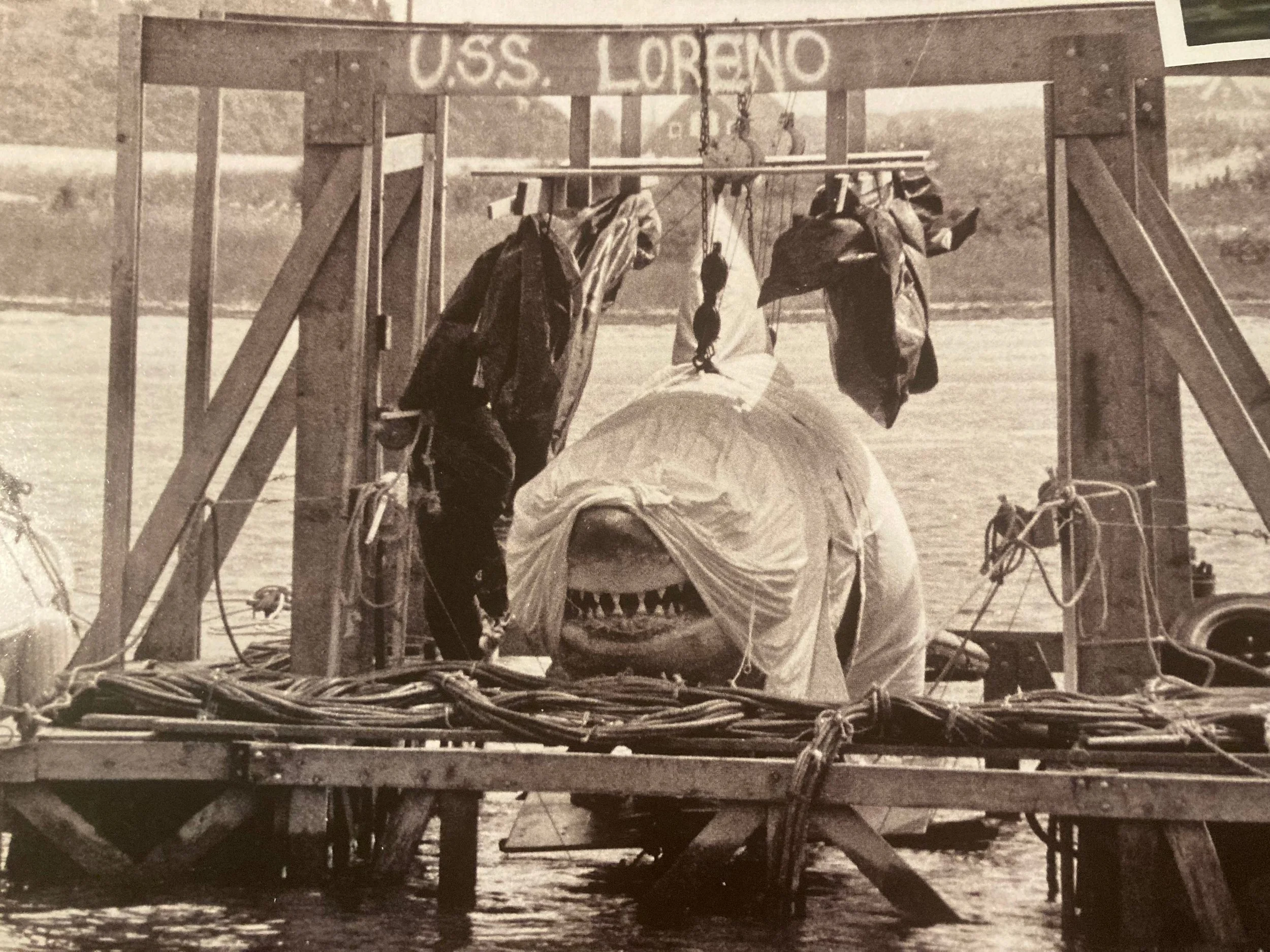 10 Things You (Probably) Didn't Know About 'Bruce' The Shark From Jaws