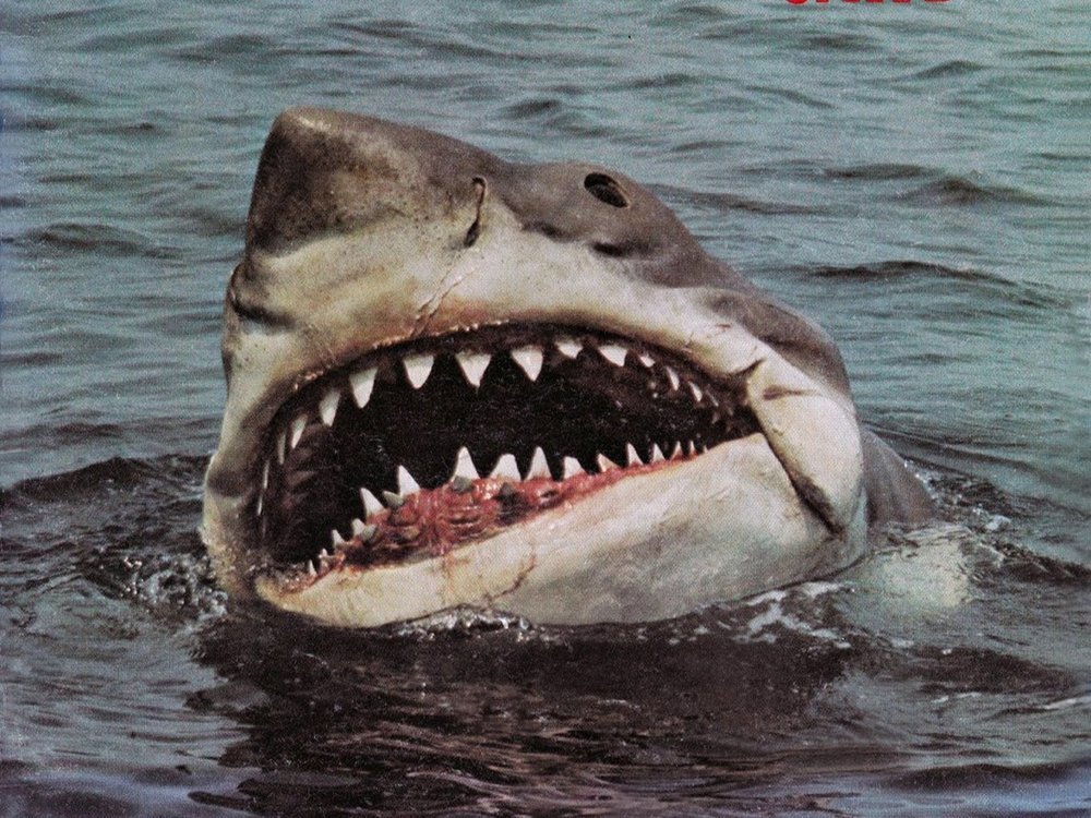Steven Spielberg reveals first test of Jaws shark was 'total disaster' —  The Daily Jaws