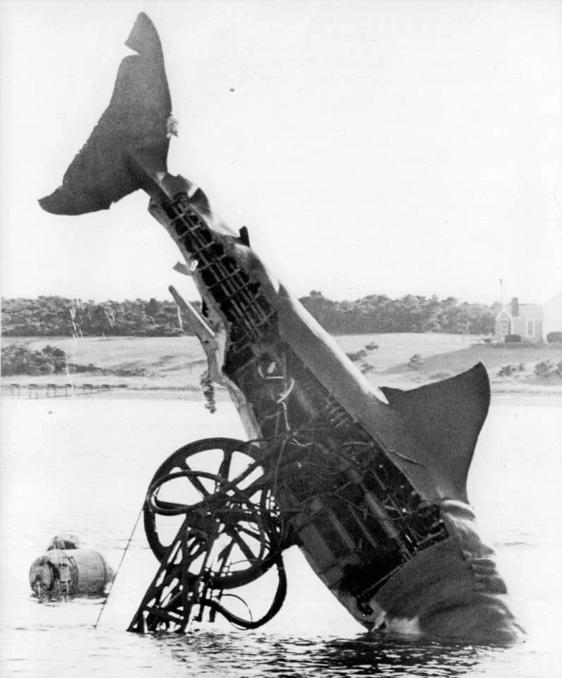 Why the shark in "JAWS" is named 'Bruce' — The Daily Jaws