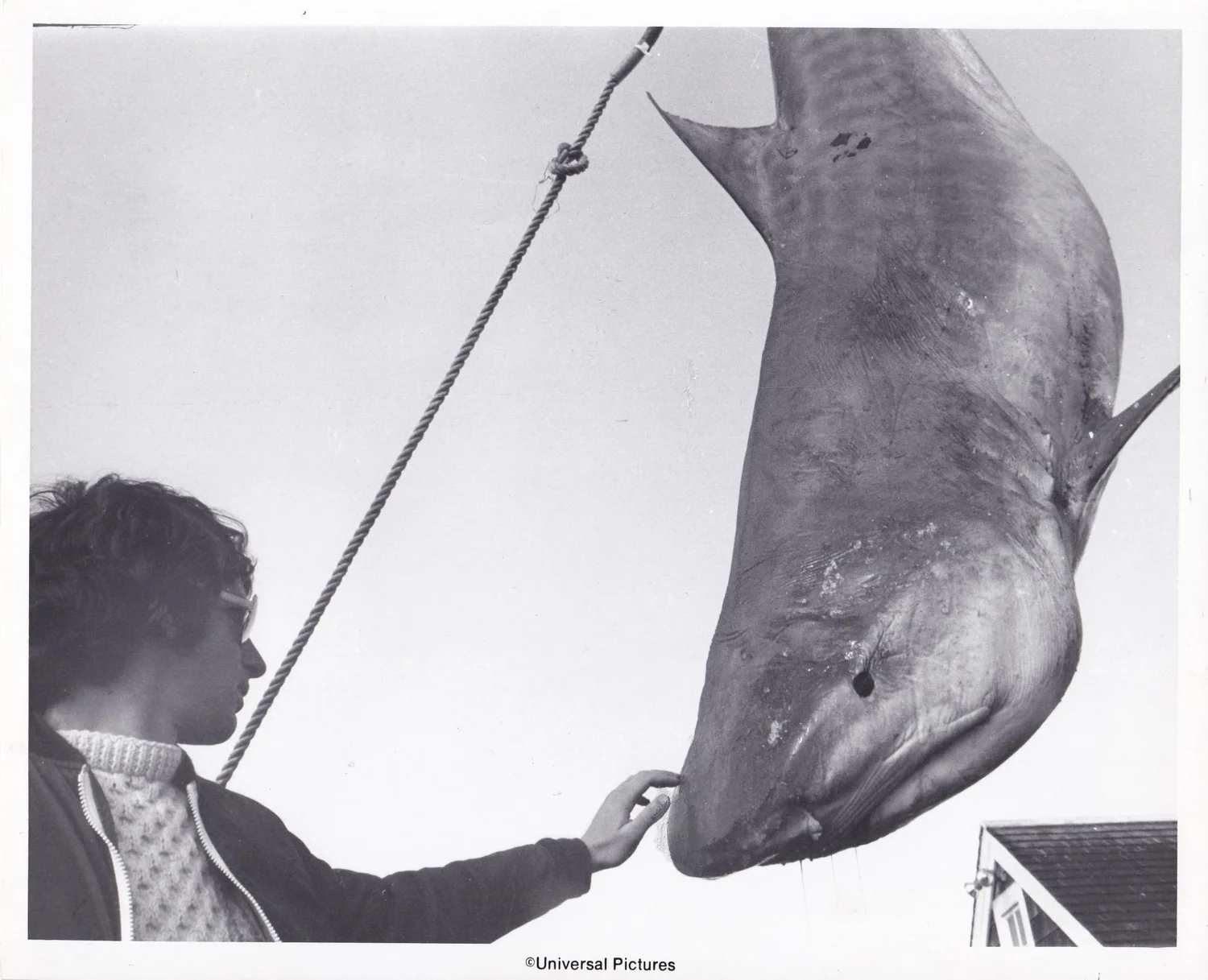 Jaws: How Steven Spielberg Creates Tension — The Daily Jaws