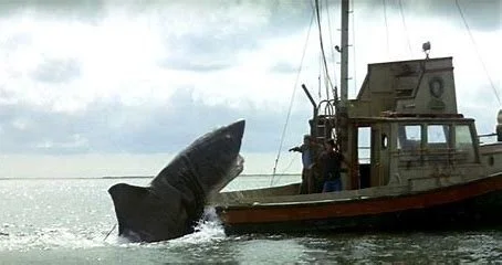 Parasailing shark encounter echoes scene from JAWS movie — The Daily Jaws