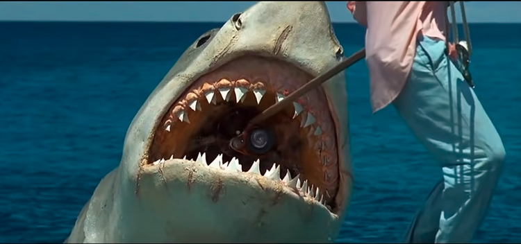 Why the shark explodes at the end of Jaws The Revenge — The Daily Jaws