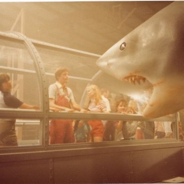 Which Jaws movie has the biggest shark? — The Daily Jaws