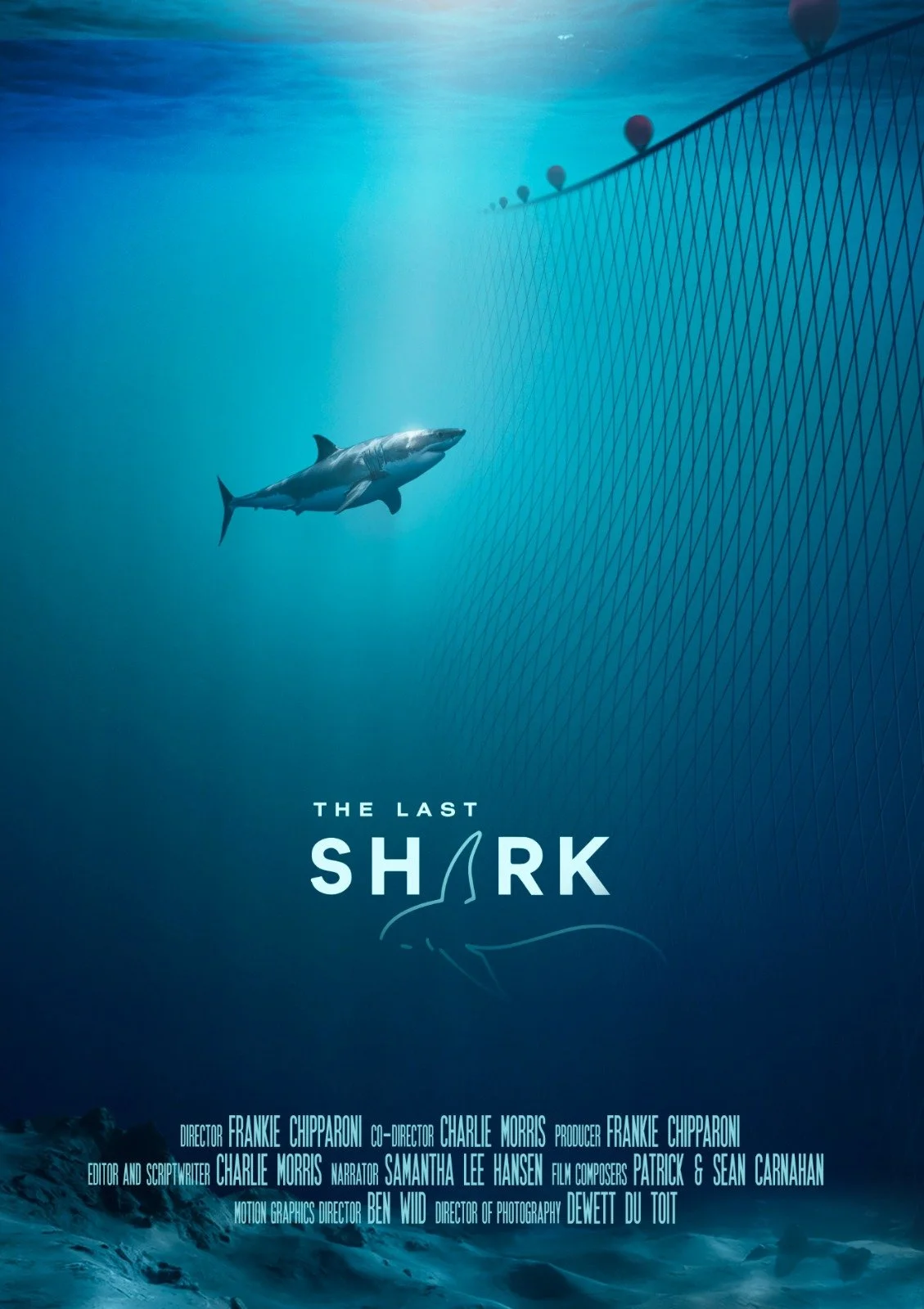 New documentary 'The Last Shark' aims to rid oceans of shark culling