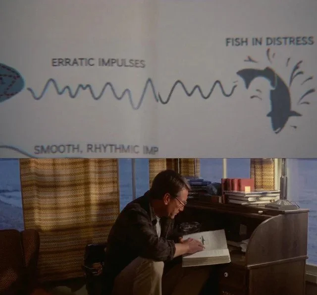 Why the shark explodes at the end of Jaws The Revenge — The Daily Jaws