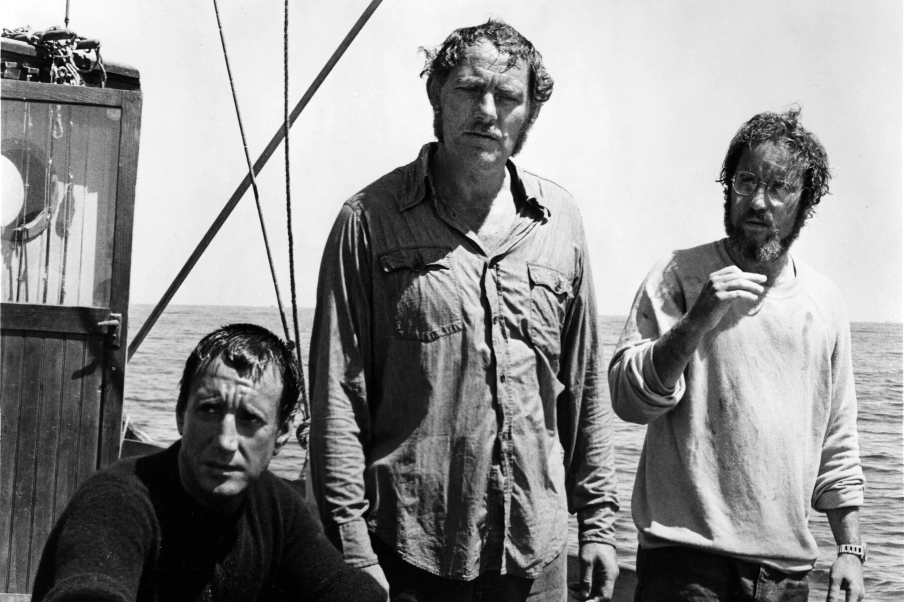 JAWS 2 was my favourite JAWS movie, then I watched the original