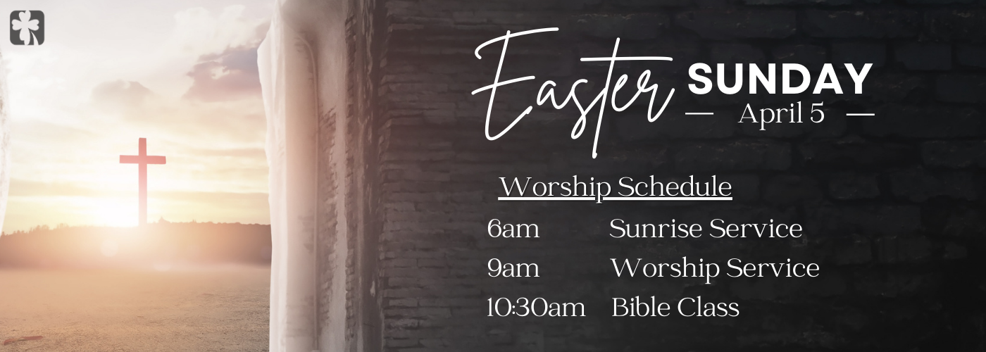 Website Banners (1400 x 500 px) (31).png