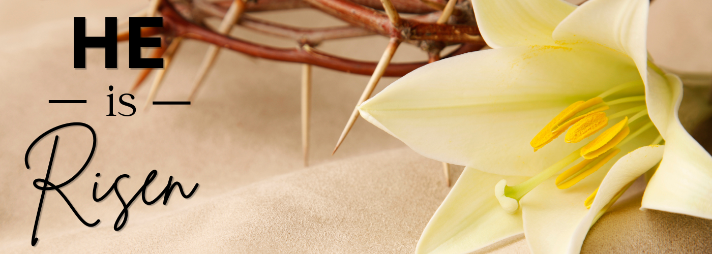 Website Banners (1400 x 500 px) (34).png