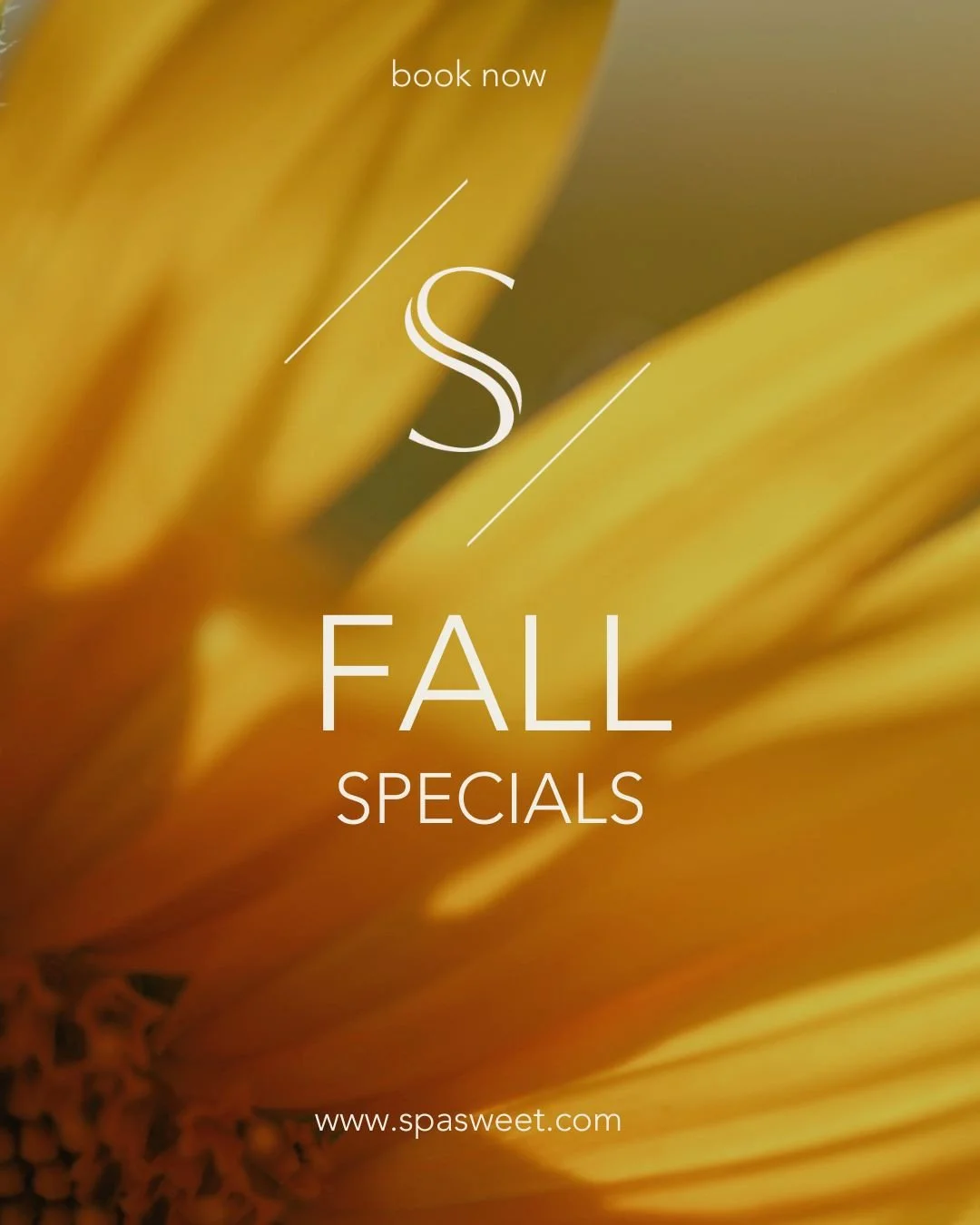 🍂✨ Our super popular 𝐅𝐚𝐥𝐥 𝐒𝐩𝐞𝐜𝐢𝐚𝐥𝐬 are finally here&mdash;now live on our website! From seasonal skin treats to cozy self-care rituals, these favorites book up fast every year.⁠
⁠
Tap the link in bio to book your next appointment and sna