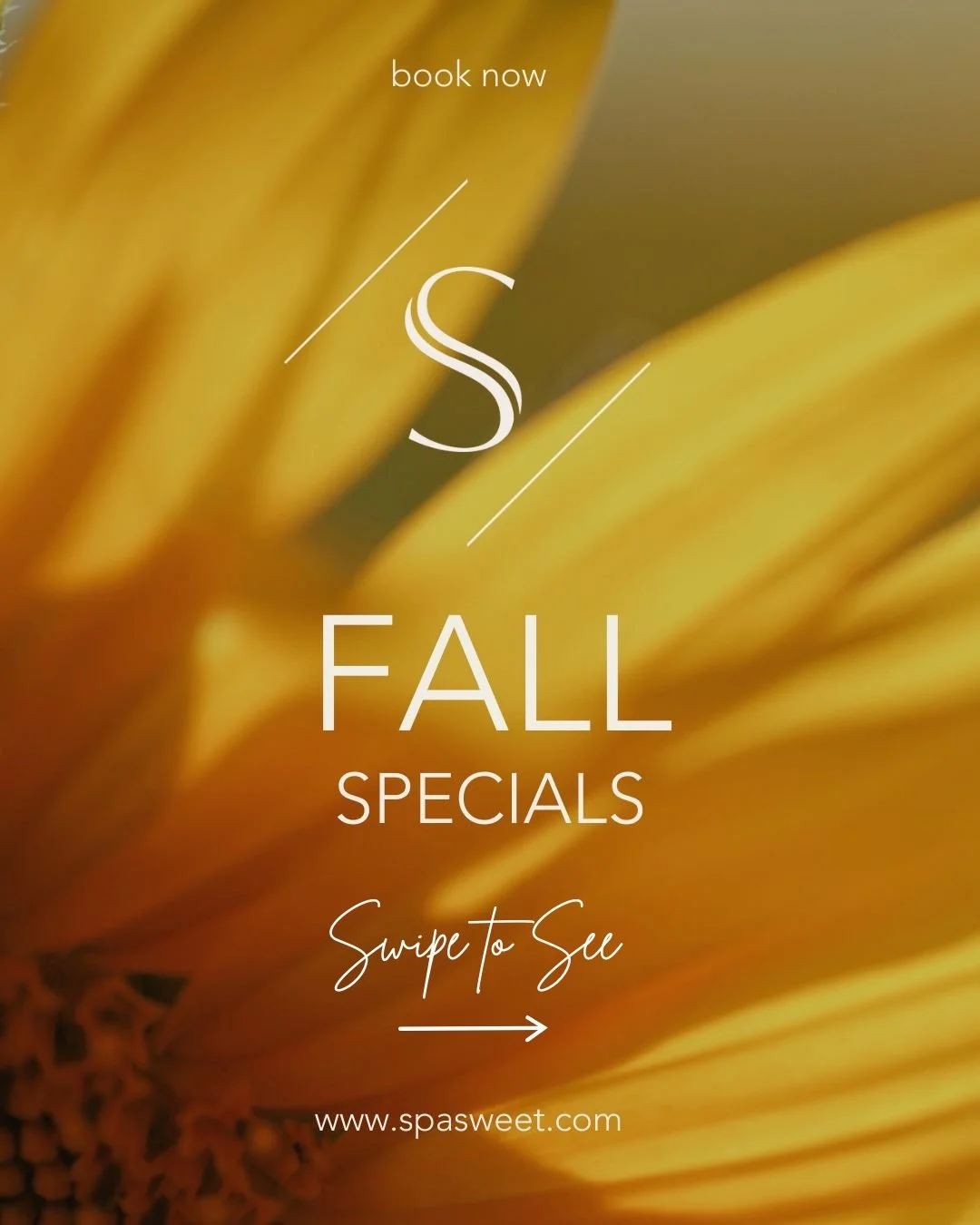 Cooler air, brighter skin. ✨ This season we&rsquo;re featuring facials designed to target dullness, refine texture, and bring back real radiance &mdash; no fluff, just results that show. From pumpkin enzymes to targeted brightening actives, there&rsq