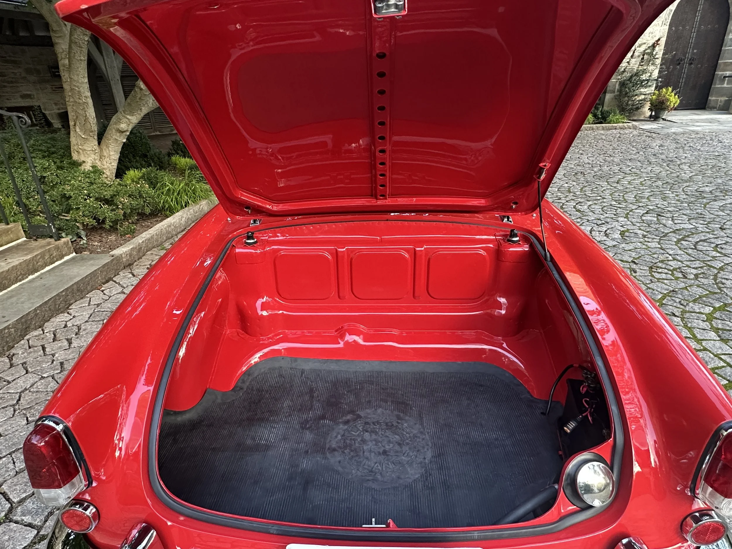 Trunk.JPG