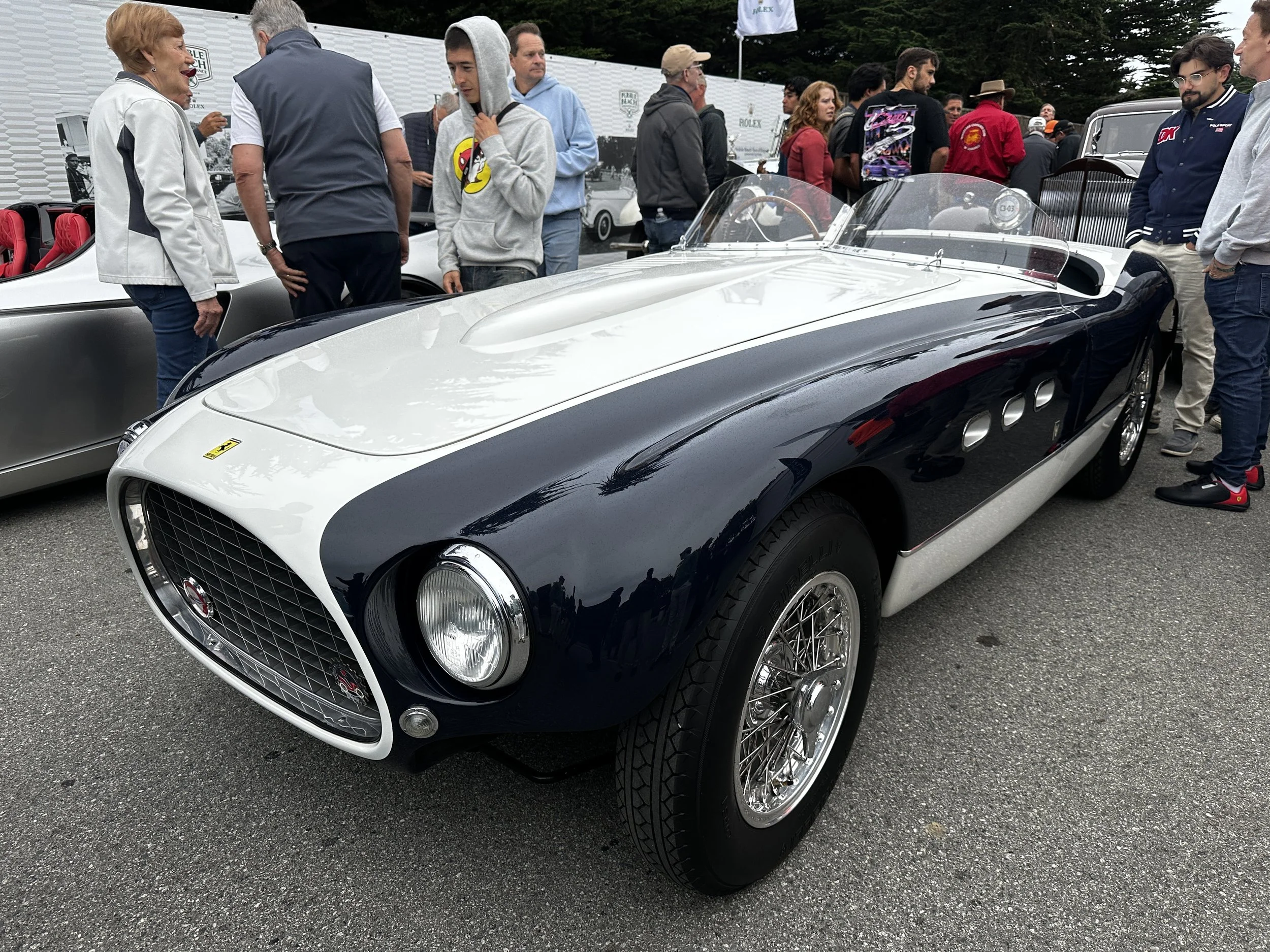 05-ferrari-pair-left.jpg