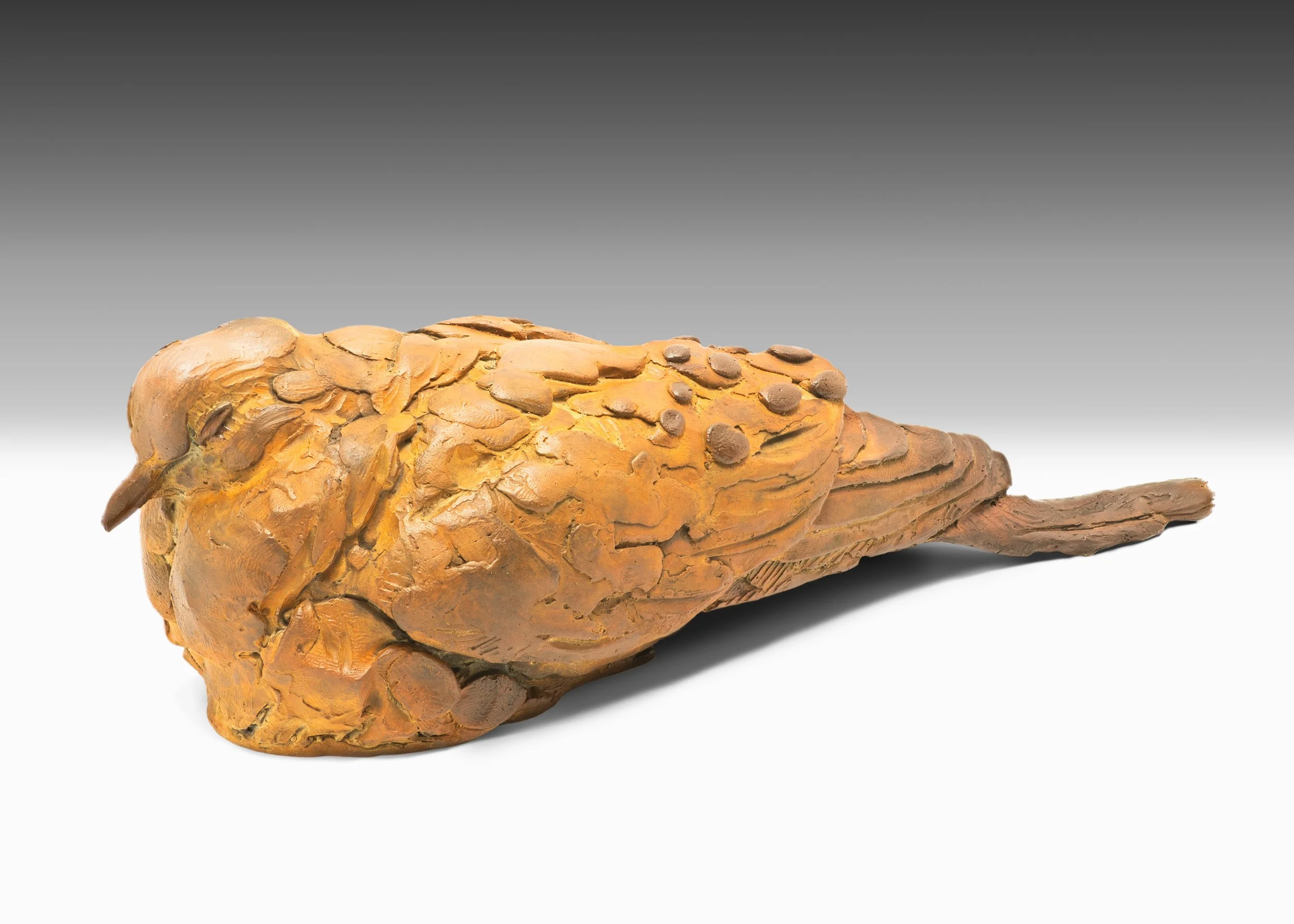 Box of Rain-left full-Edit.JPG