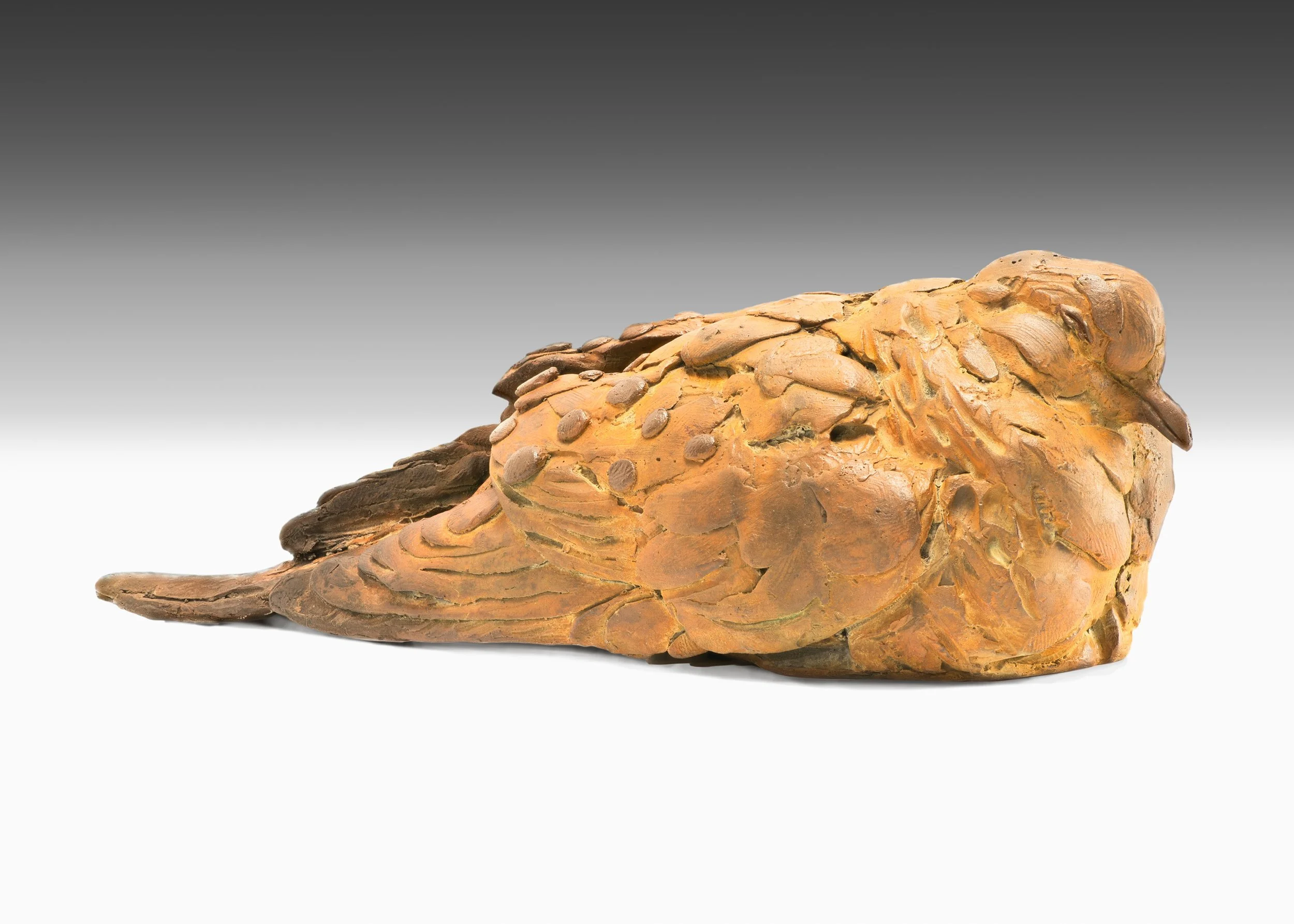 Box of Rain-full right.JPG