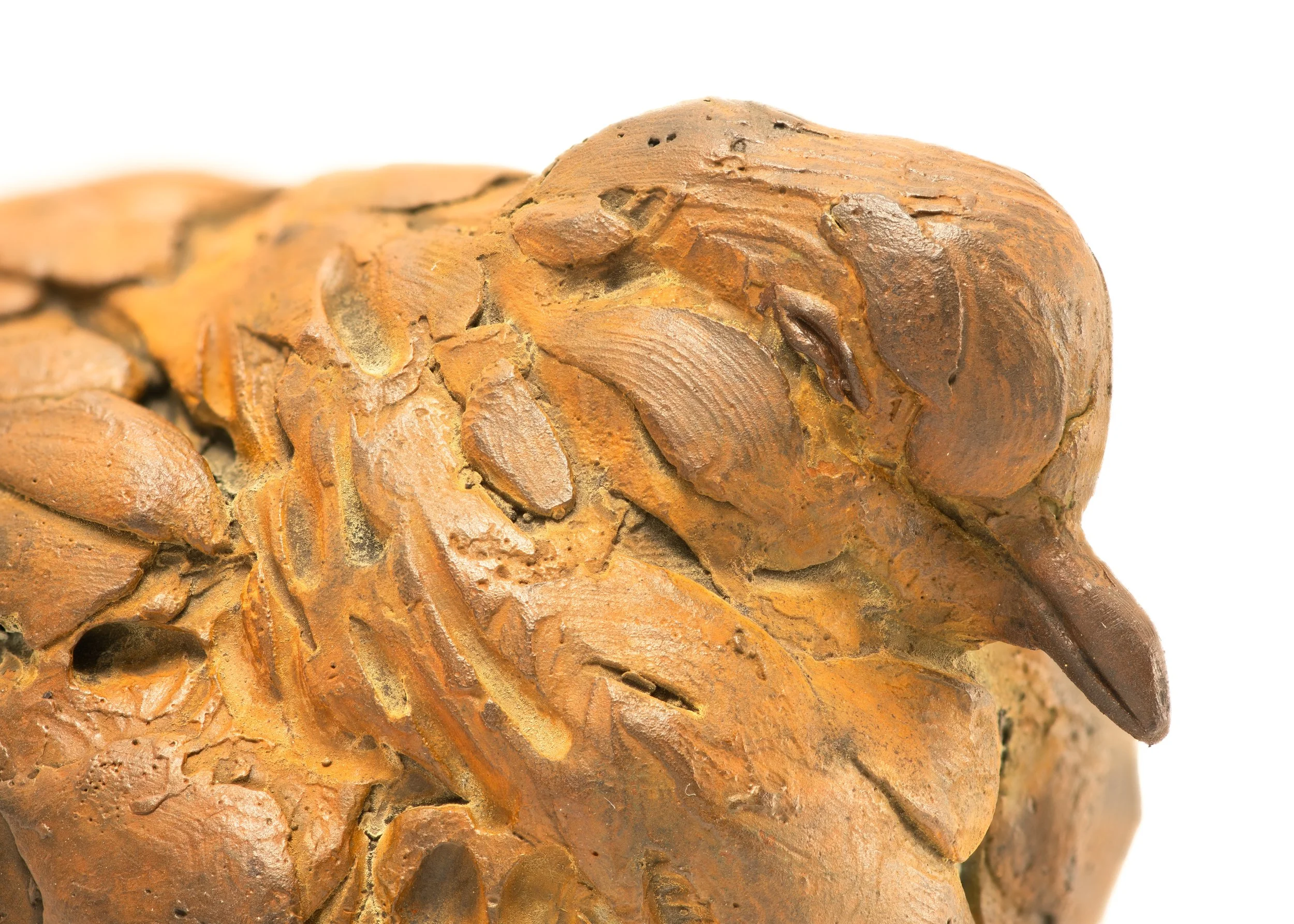 Box of Rain-right closeup.JPG