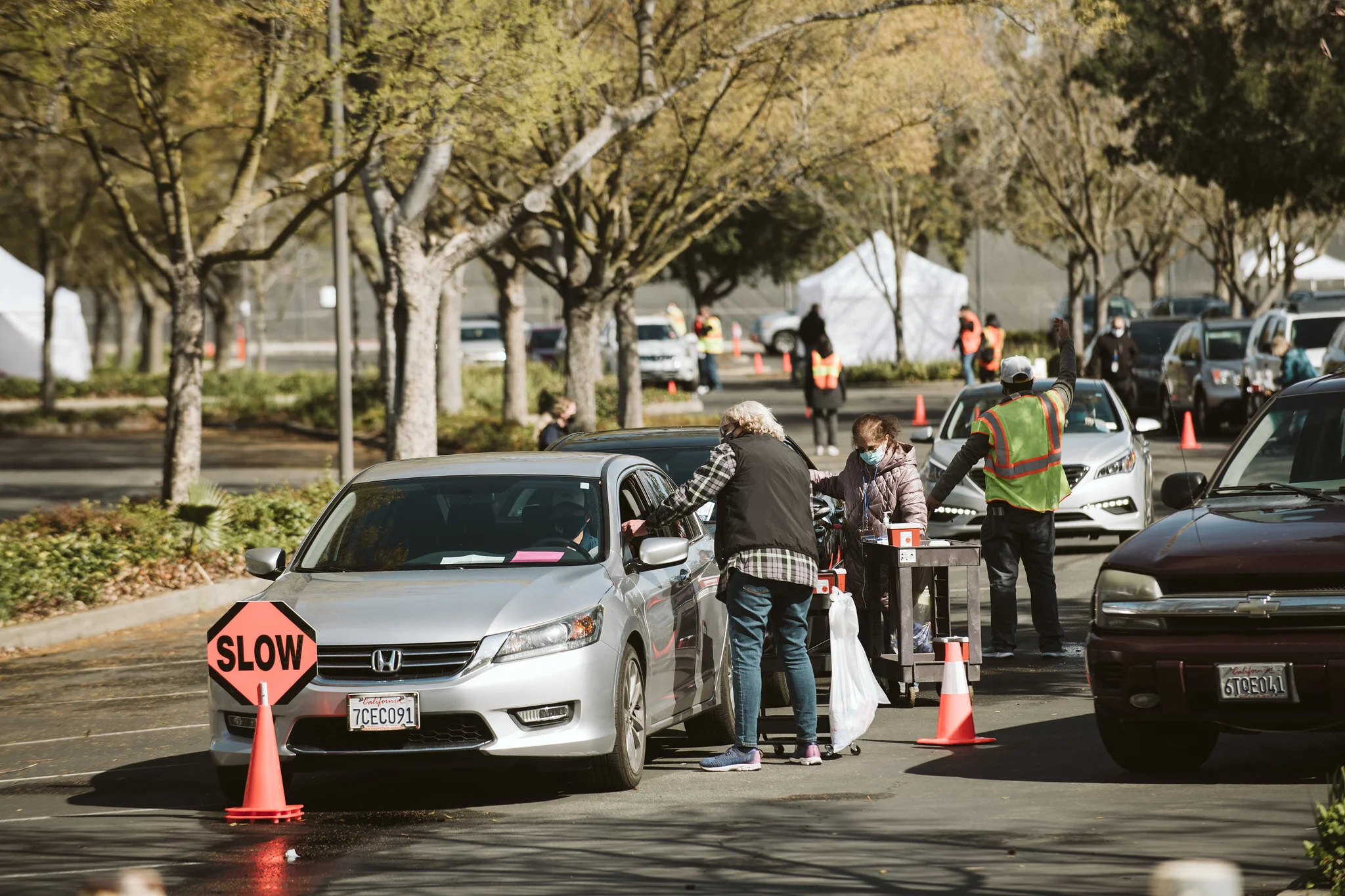 51114965390_780025c354_o