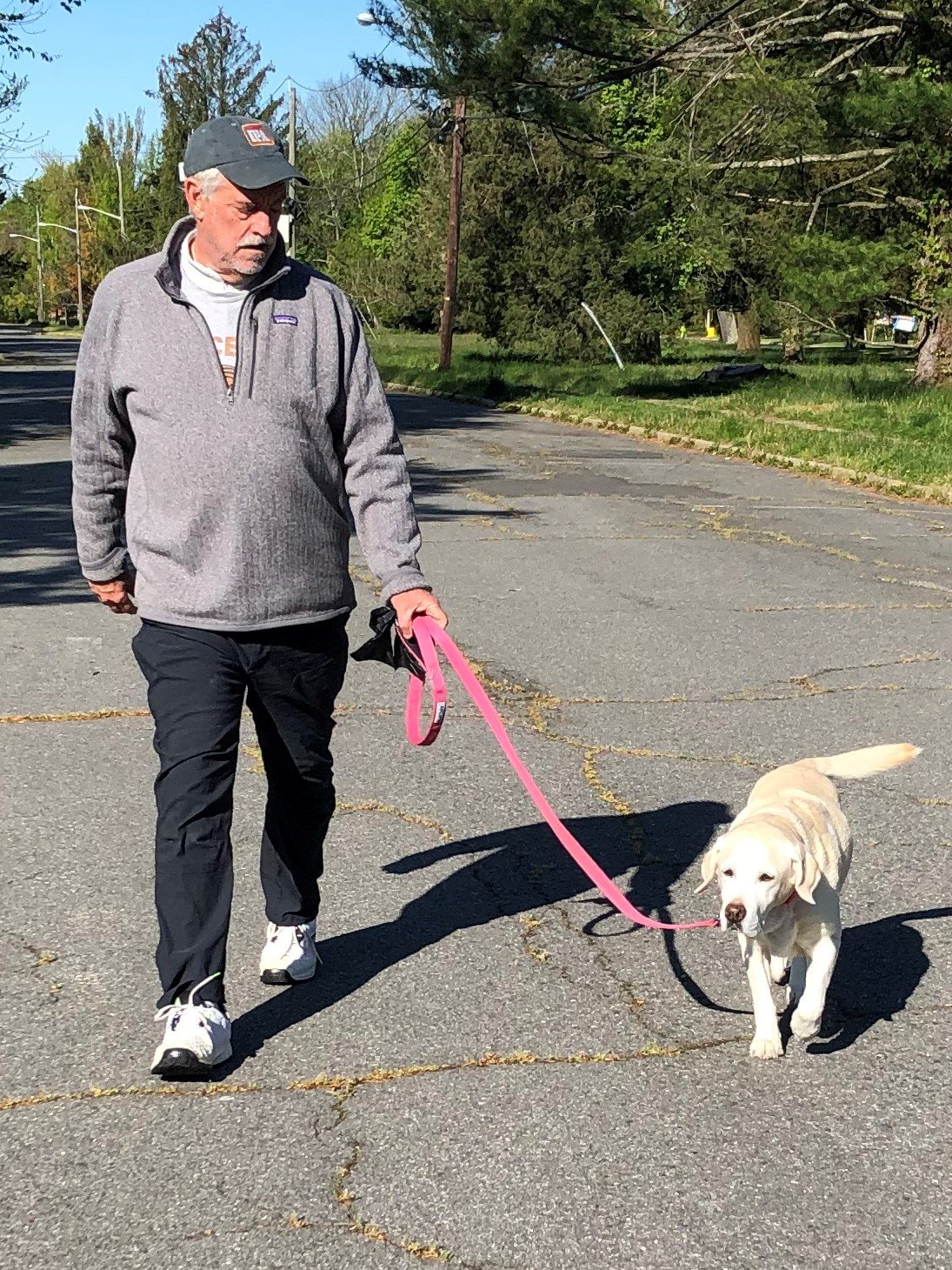 Loose Leashes-Who's Walking Whom?