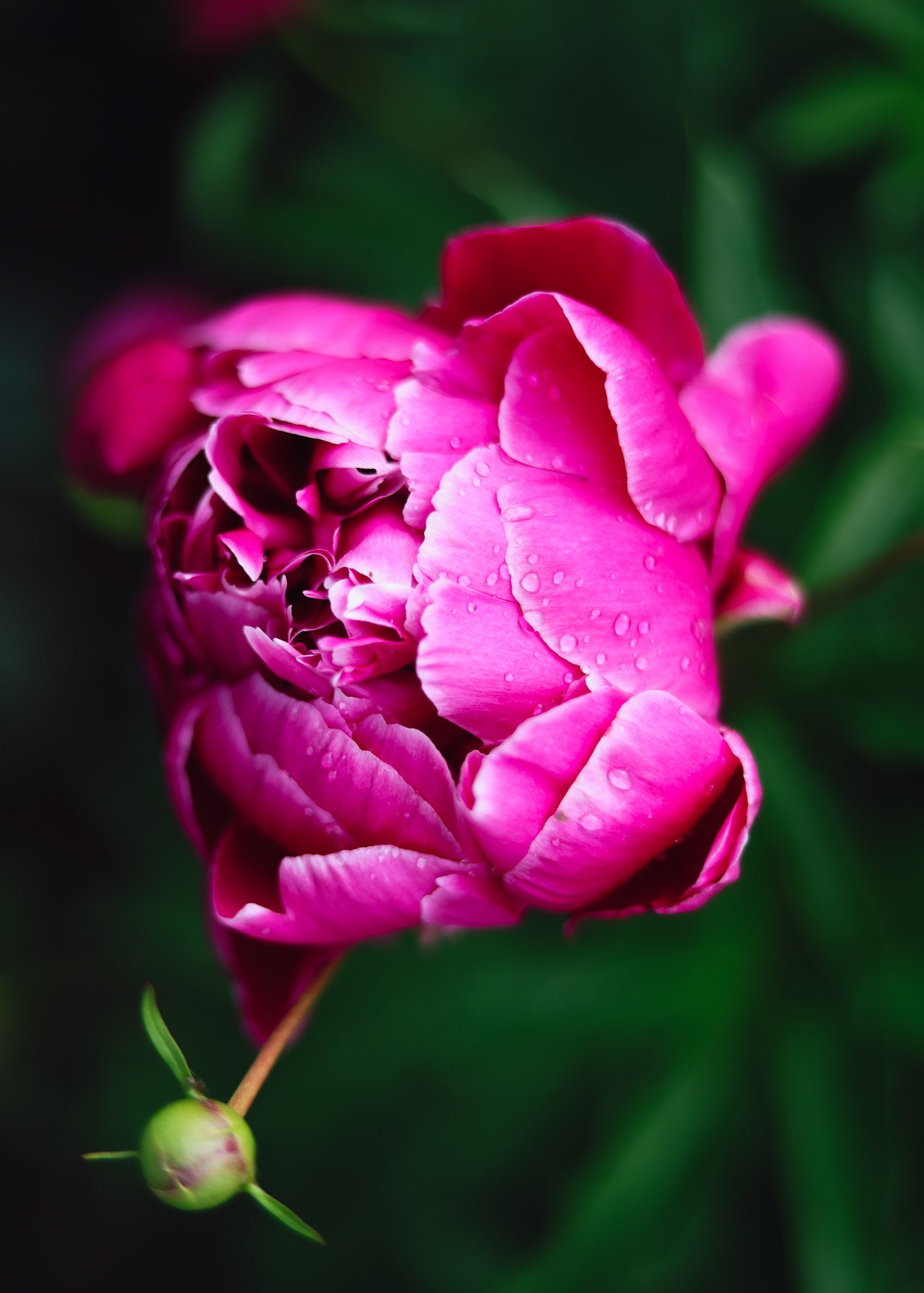 4J6A3645.JPG