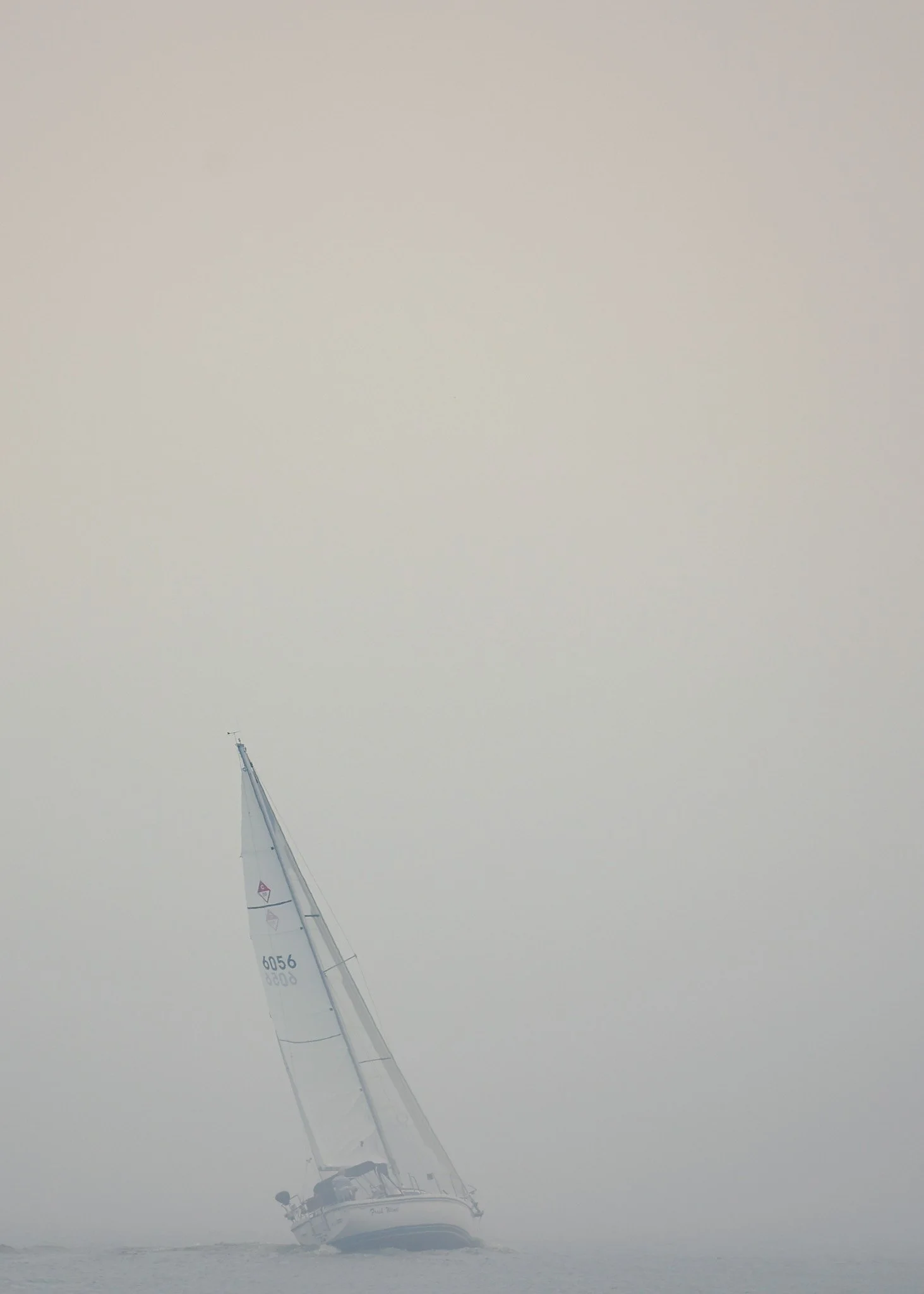 4J6A2310.JPG