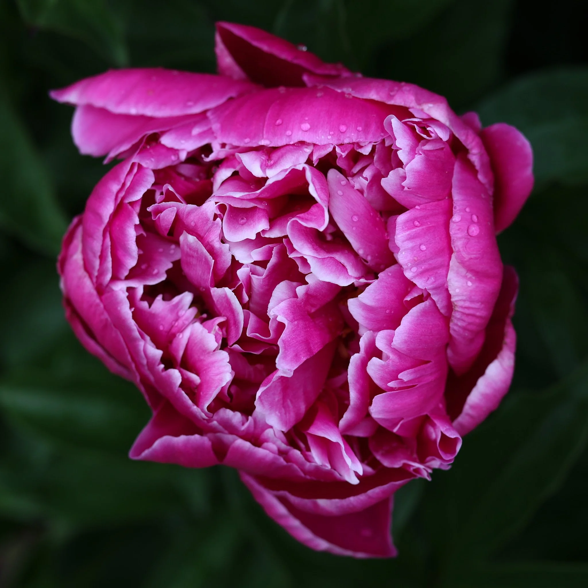4J6A3648.JPG