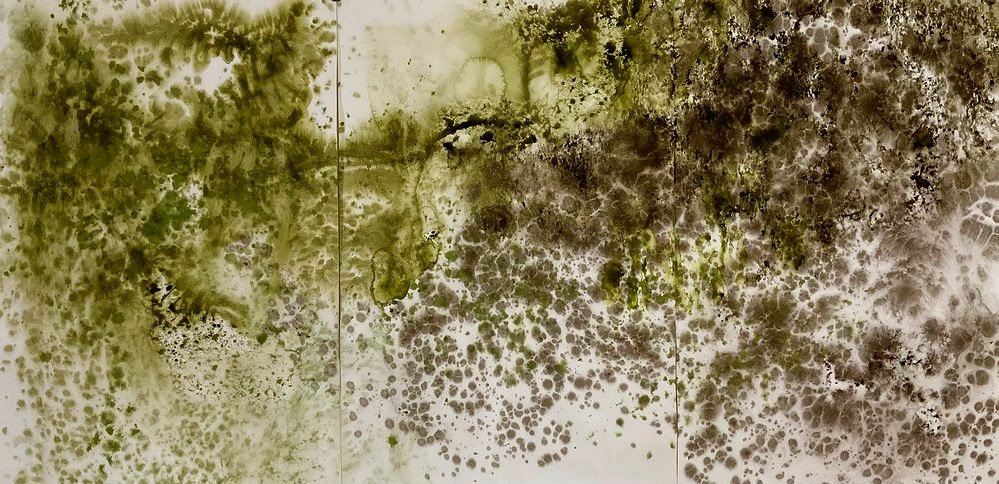 Lichen World 40" x 78"