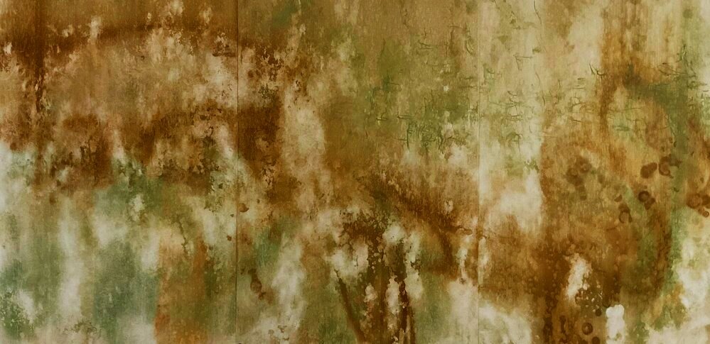 Spring 40" x 78"
