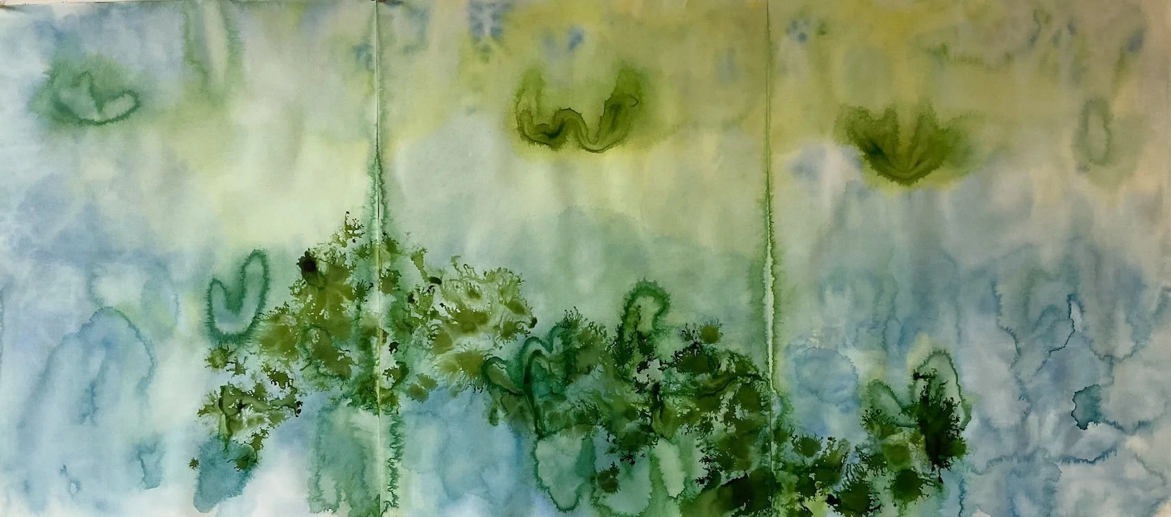 Descending Algae     30"x66"