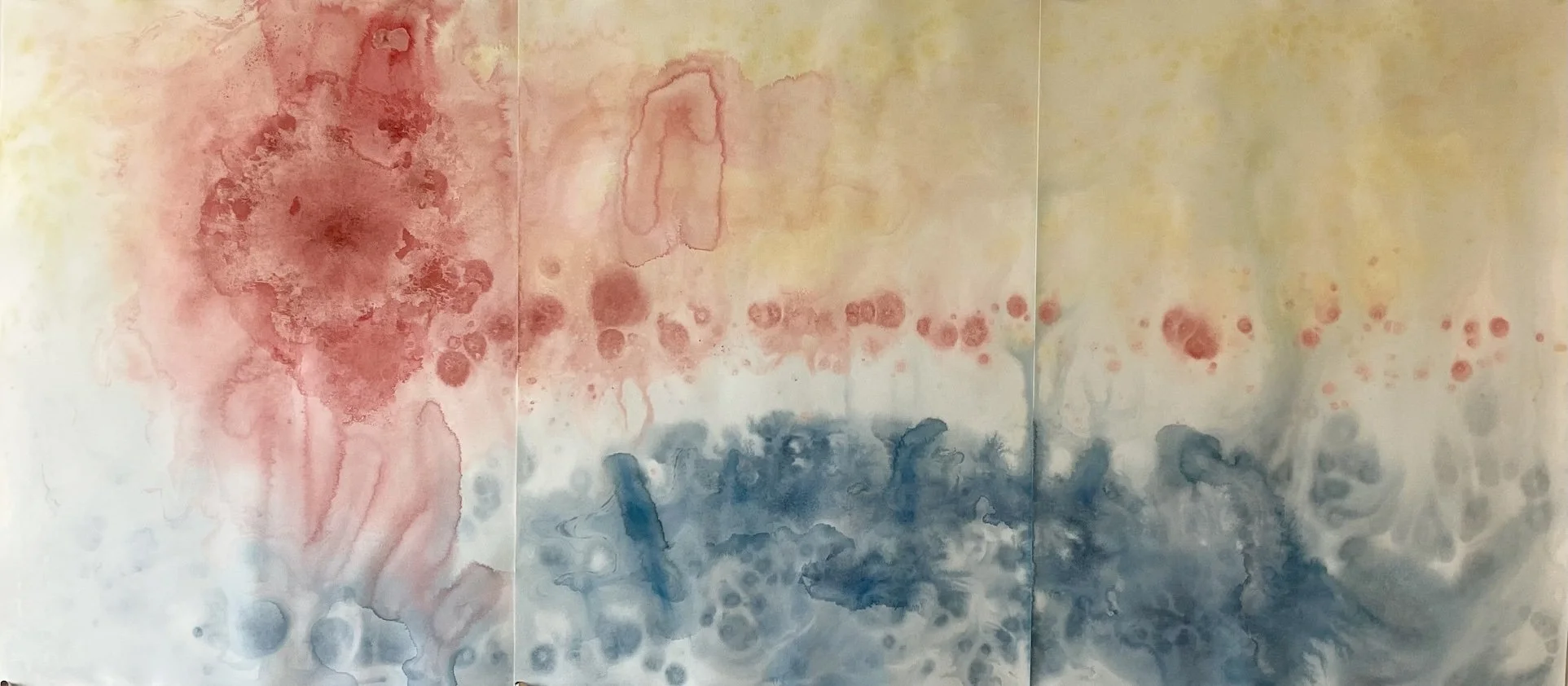 Floating Roses I    30"x66"