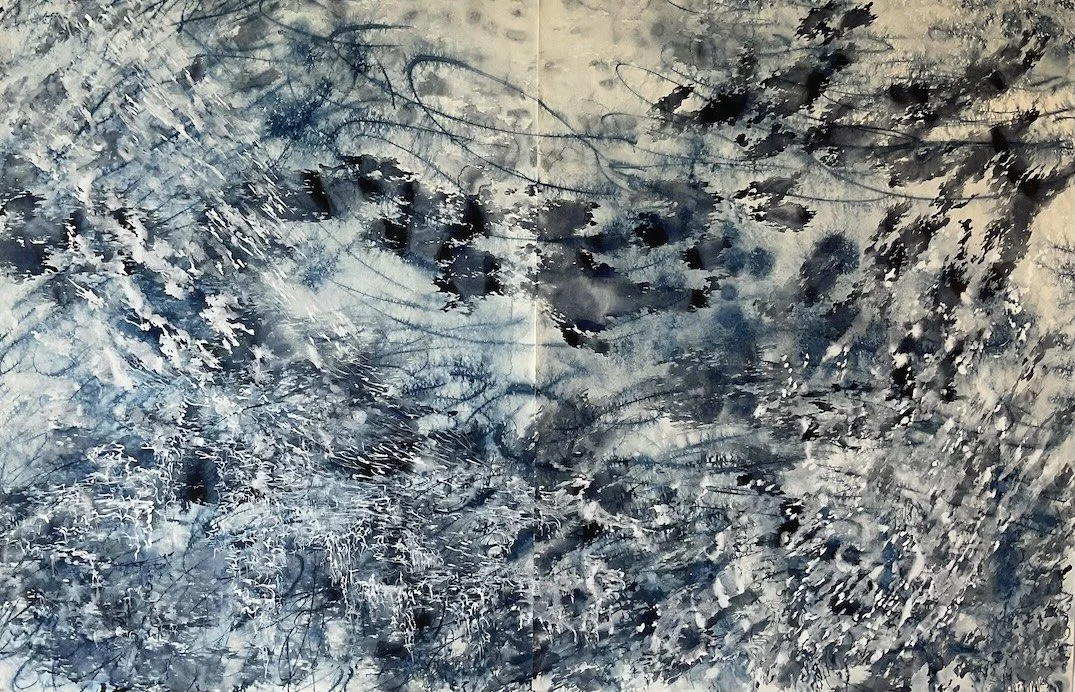 Arctic Net     50"x76"