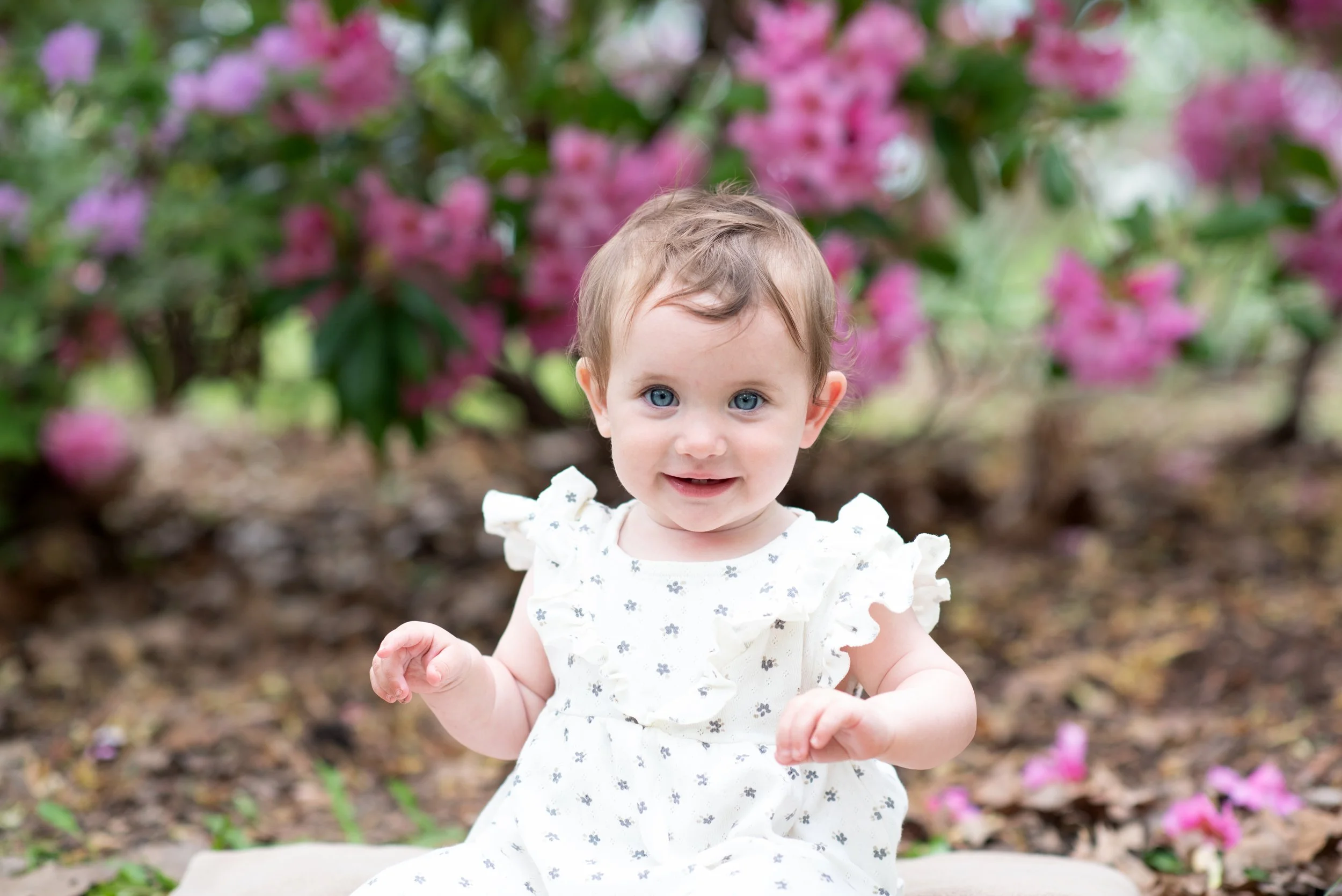 Ellowyn Is One! Cake Smash May 17 2025 (4).jpg