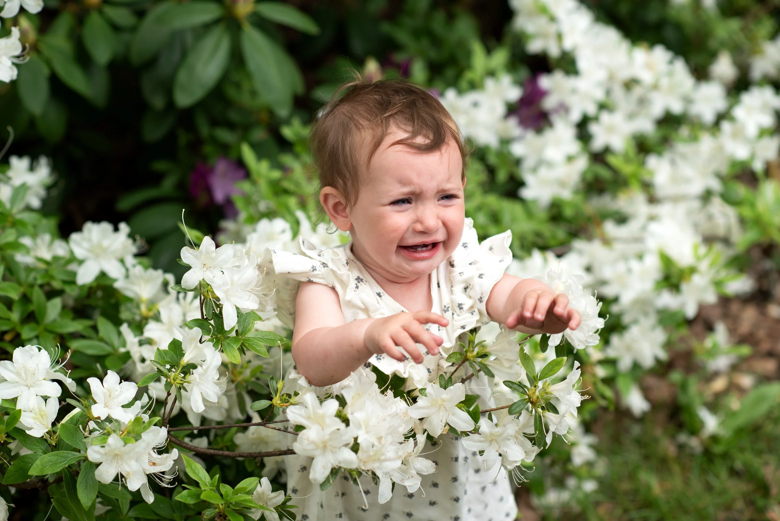Ellowyn Is One! Cake Smash May 17 2025 (7).jpg