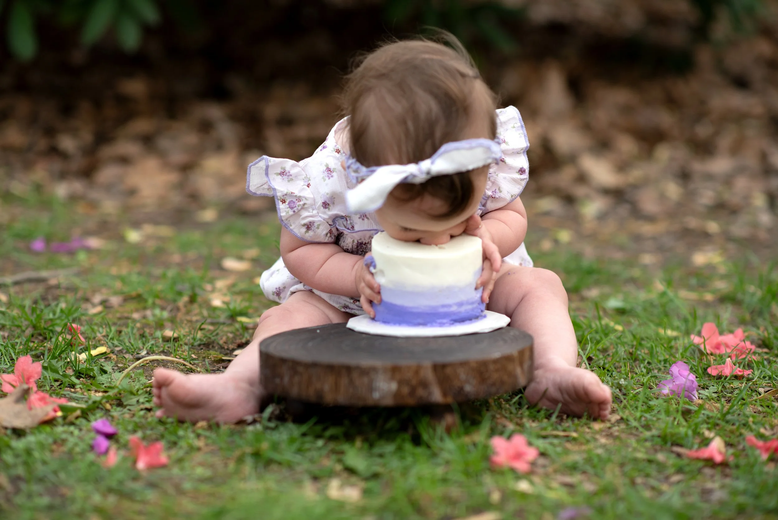 Ellowyn Is One! Cake Smash May 17 2025 (14).jpg