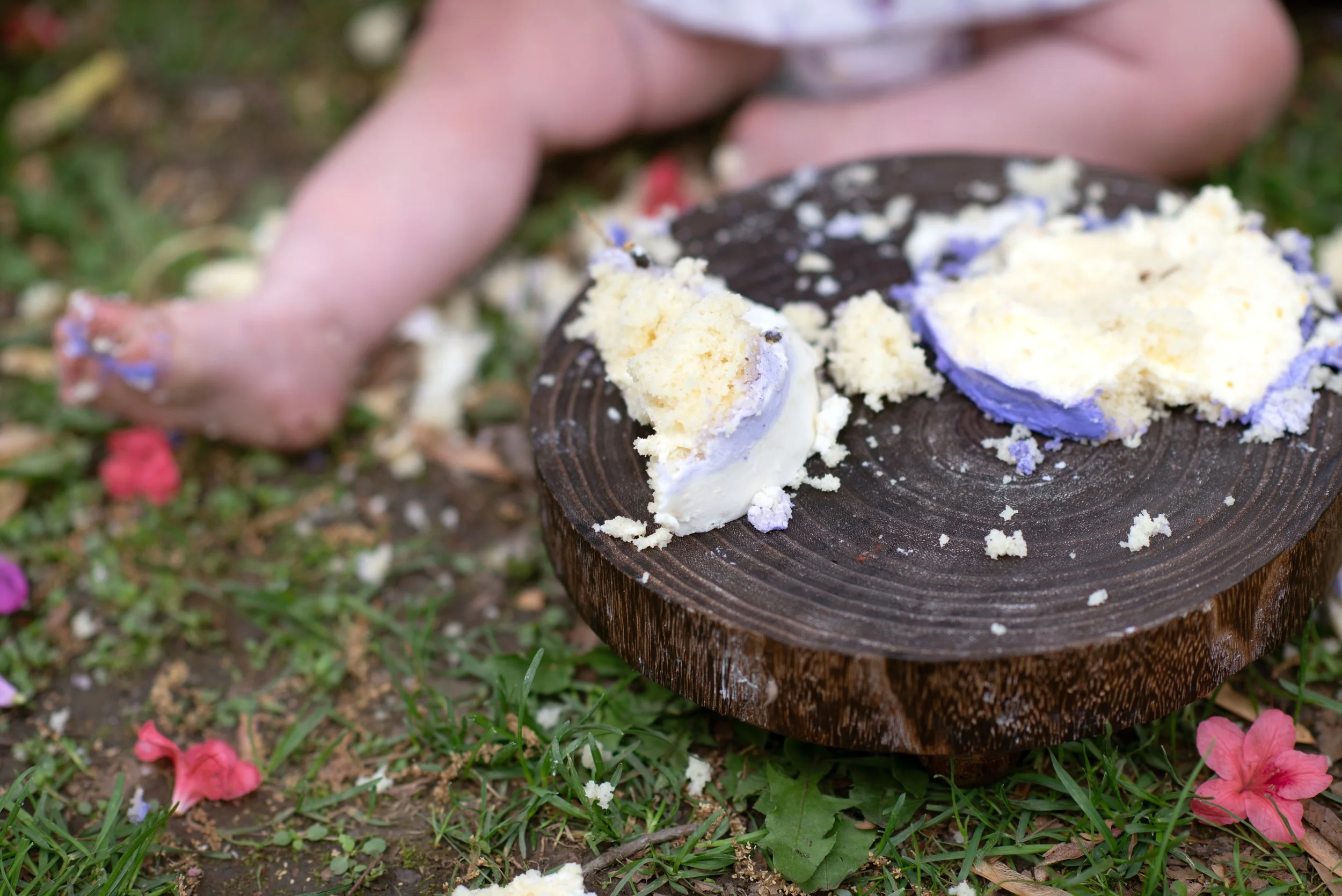 Ellowyn Is One! Cake Smash May 17 2025 (37).jpg