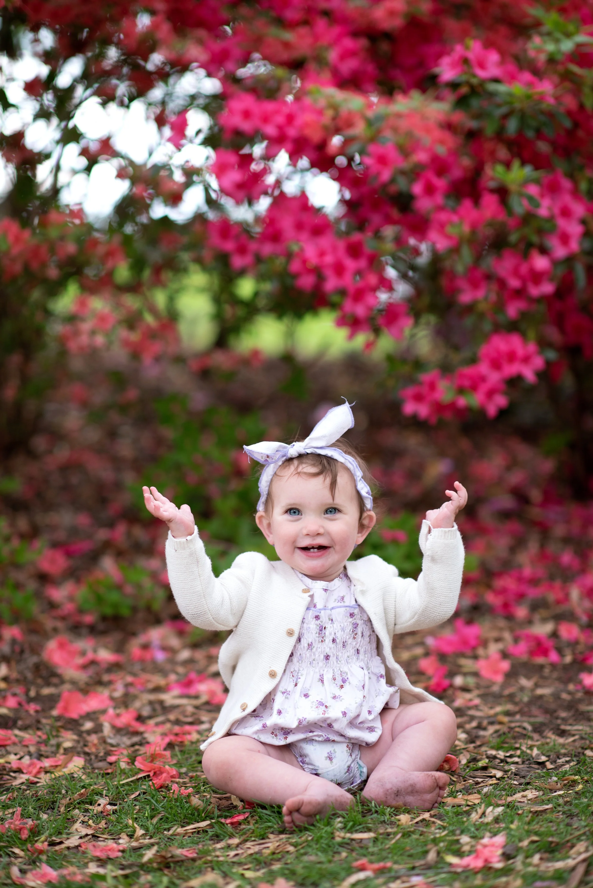 Ellowyn Is One! Cake Smash May 17 2025 (57).jpg
