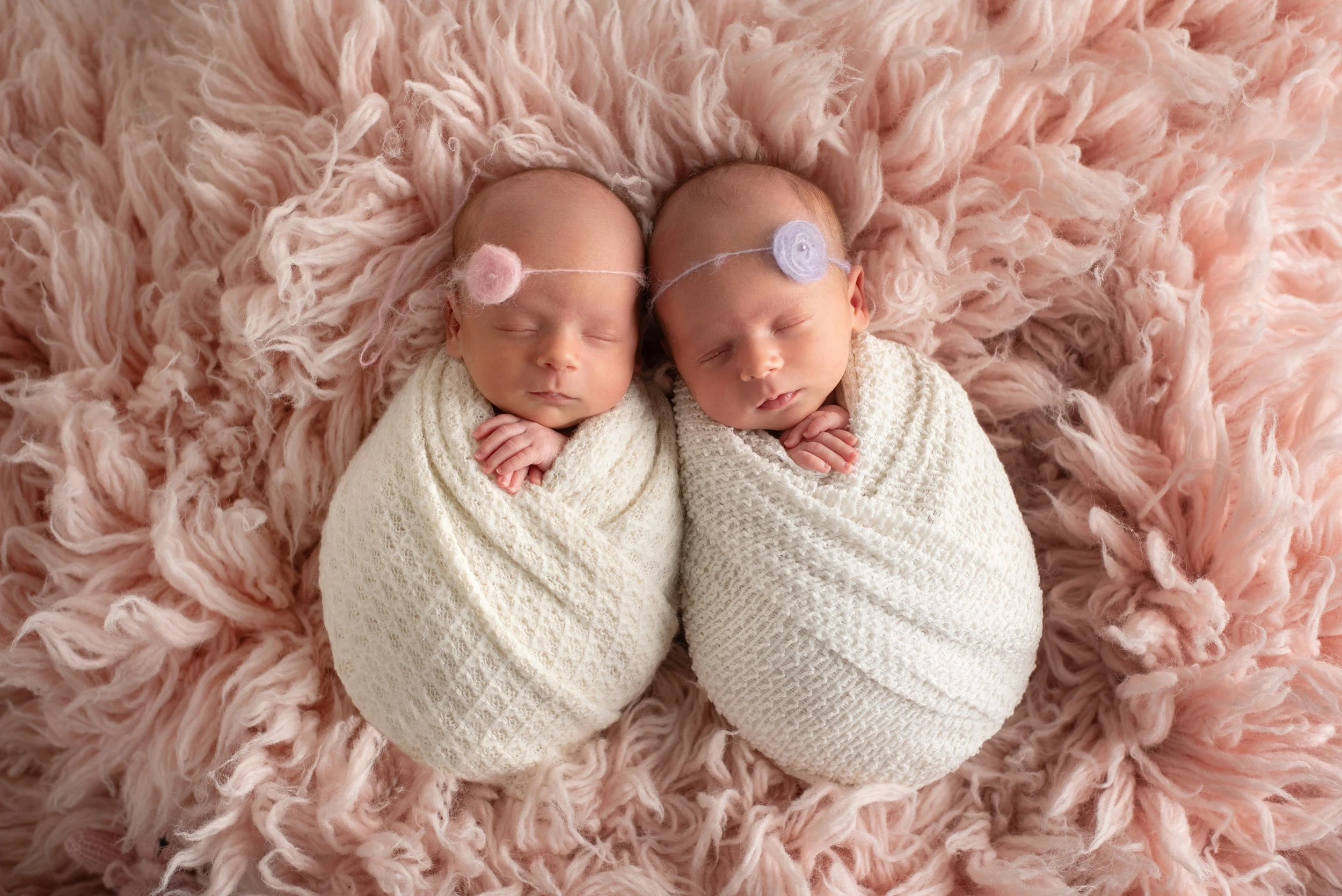 Eleanor & Ariana 4 weeks new February 1 2025 (19).jpg
