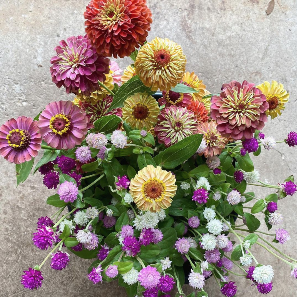 Loose Flowers- Bucket — Clementine Botanical Art