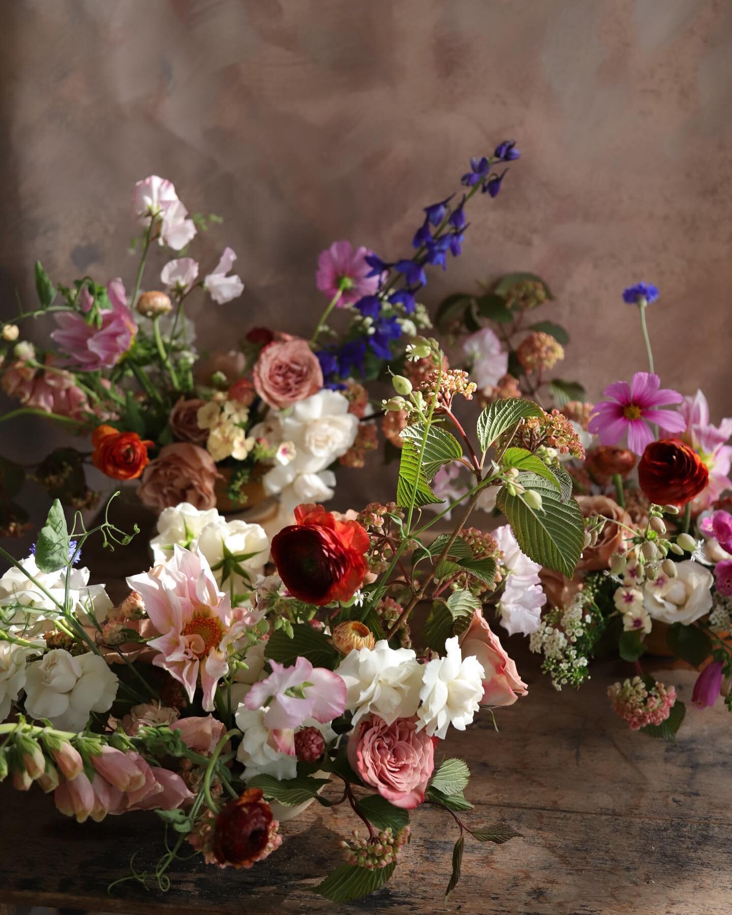 Working with lots of garden cuts this week + a very fun palette for the sweetest @erynshaffer. Meanwhile adding strawflower to the list of things I had to grow myself to fully appreciate 💘