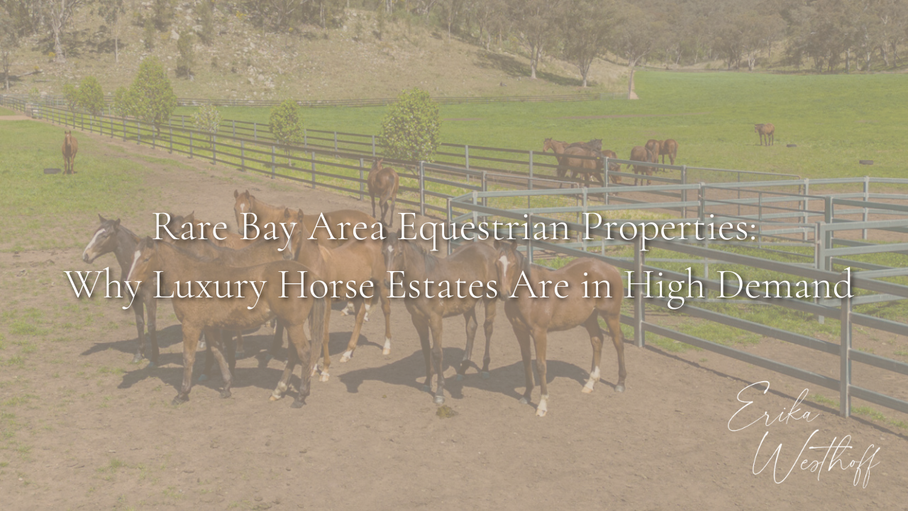 Rare Bay Area Equestrian Properties: Why Luxury Horse Estates in Livermore &amp; Castro Valley Are in High Demand