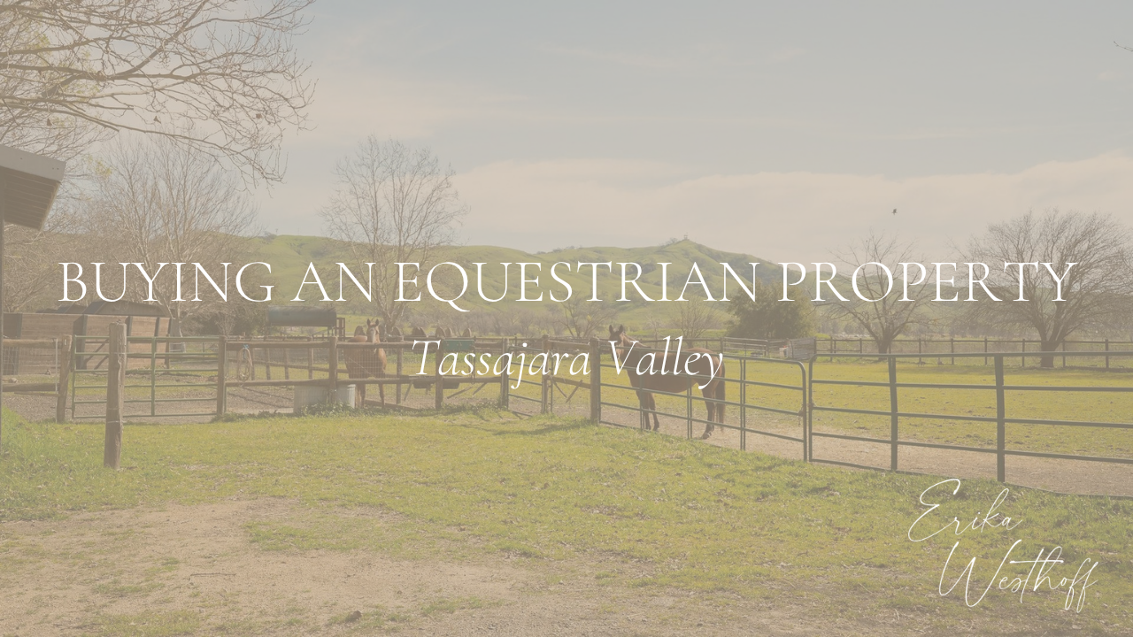 Buying an Equestrian Property in Tassajara Valley:                What Horse Owners Should Know