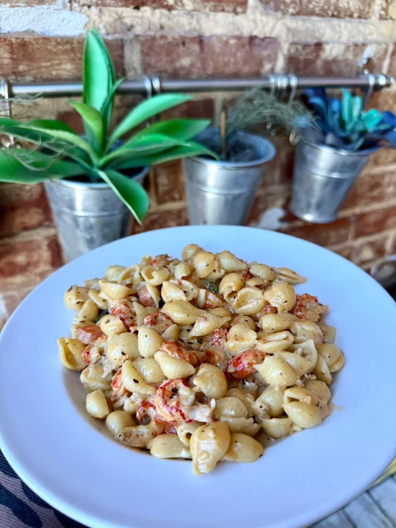 Cajun Pasta- Delicious cream sauce with peppers, onions, and tomatoes with a kick of cajun spice add chicken, shrimp, and crawfish